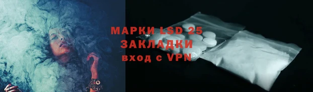 гидра Покачи
