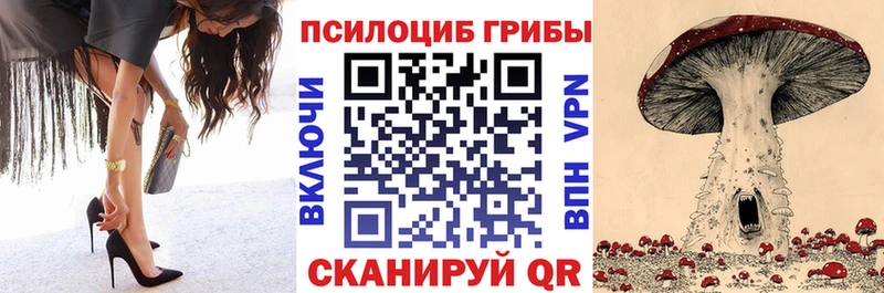 Псилоцибиновые грибы MAGIC MUSHROOMS наркота Кингисепп